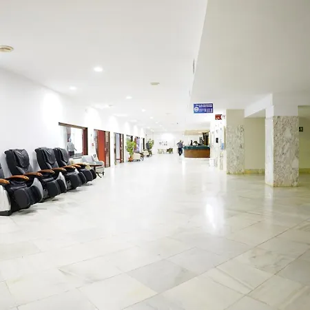 Palmeras * Fuengirola