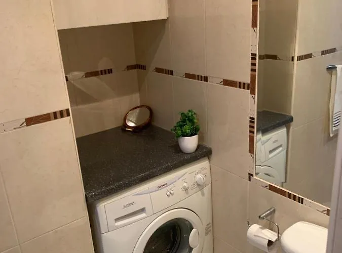 Palmeras 丰希罗拉