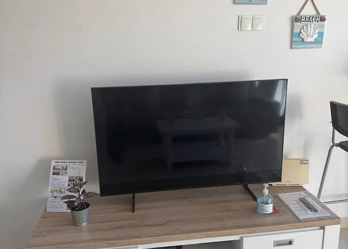 Palmeras 丰希罗拉