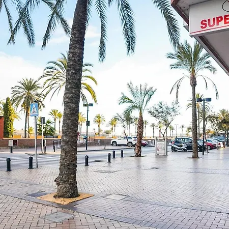 Palmeras Apartmán *